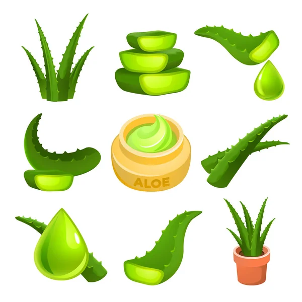 Conjunto de ícones Aloe, estilo dos desenhos animados — Vetor de Stock