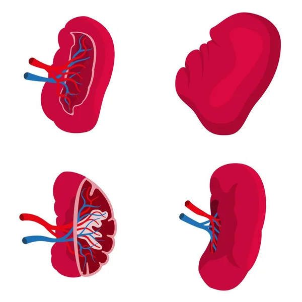 Milt iconen set, vlakke stijl — Stockvector