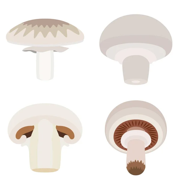 Champignon icons set, flat style — Stock Vector