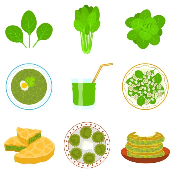 Spinach icons set, flat style — Stock Vector