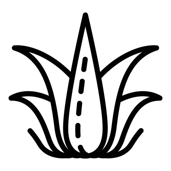 Icono de aloe vera a base de hierbas, estilo de esquema — Archivo Imágenes Vectoriales