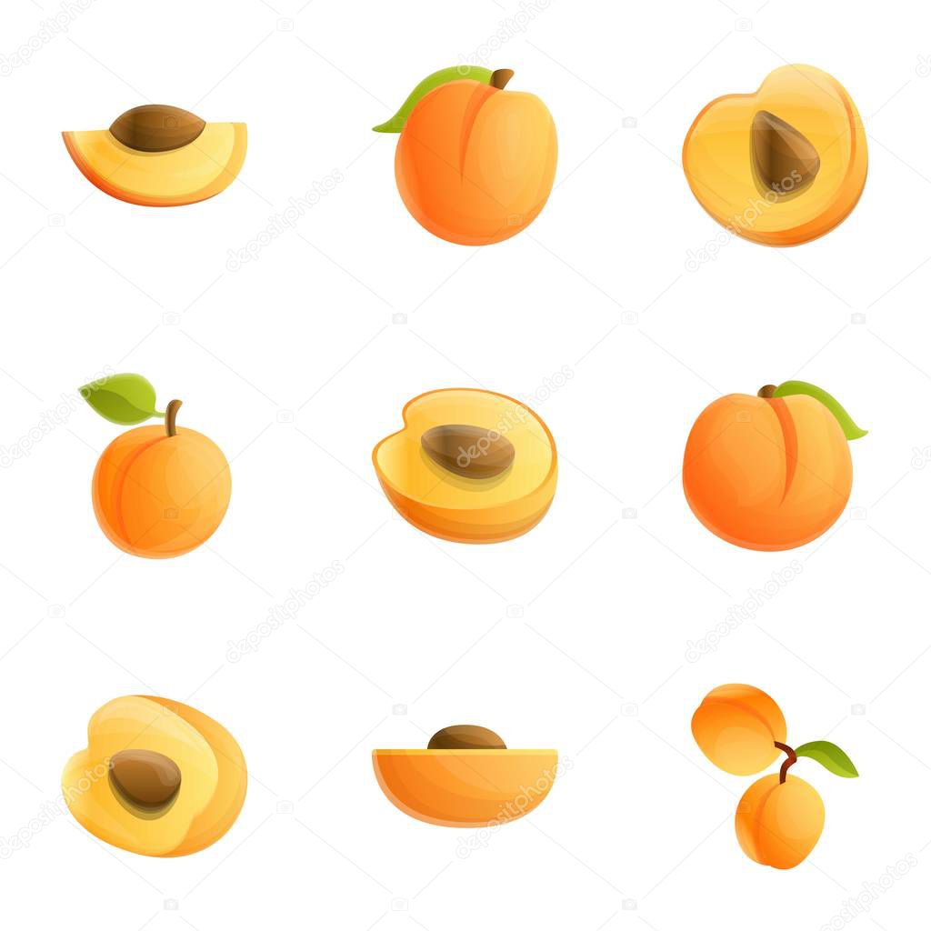 Orange peach icon set, cartoon style