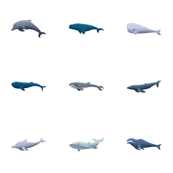 Conjunto de ícones de baleia do Pacífico, estilo cartoon — Vetor de Stock