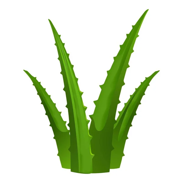Green aloe vera icon, cartoon style — Stock Vector