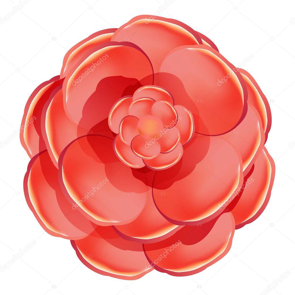 Red rose camellia icon, cartoon style