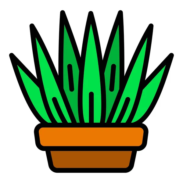 Succulent pot icon, outline style — Stock Vector