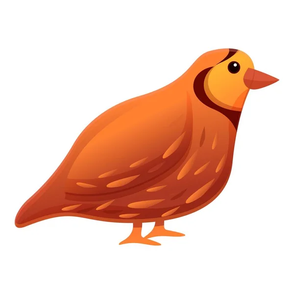 Quail bird icon, cartoon style — Stock Vector