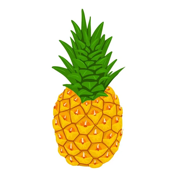 整个菠萝图标，等距风格 — 图库矢量图片