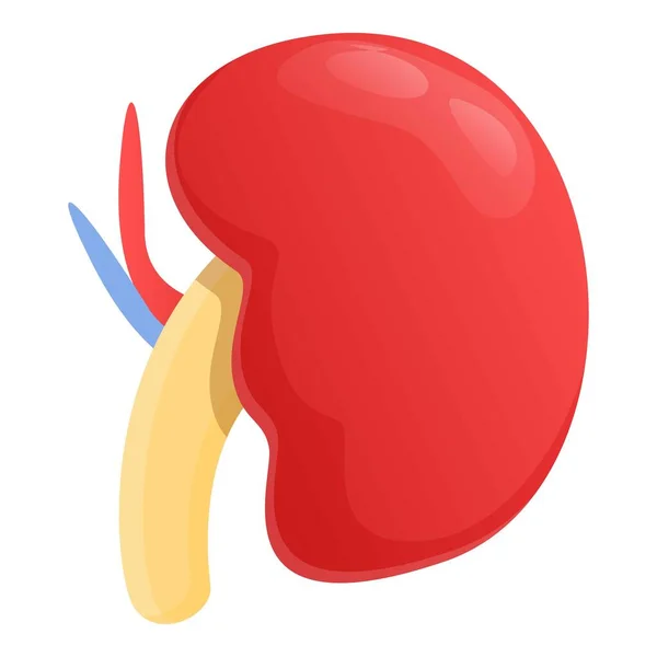 Icono de riñón de urología, estilo de dibujos animados — Archivo Imágenes Vectoriales