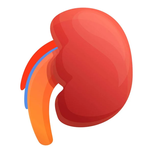 Kid kidney icon, cartoon style — Stock Vector