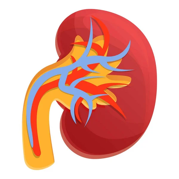 Ikona dialýzy ledvin, kreslený styl — Stockový vektor