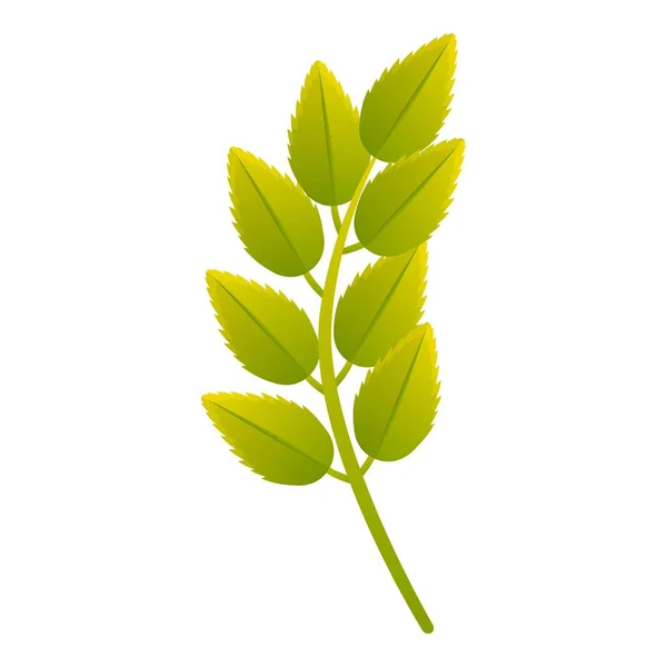 Icono de hoja de Rowan, estilo de dibujos animados — Vector de stock