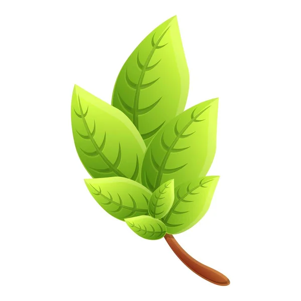 Icono de aroma de albahaca, estilo de dibujos animados — Vector de stock