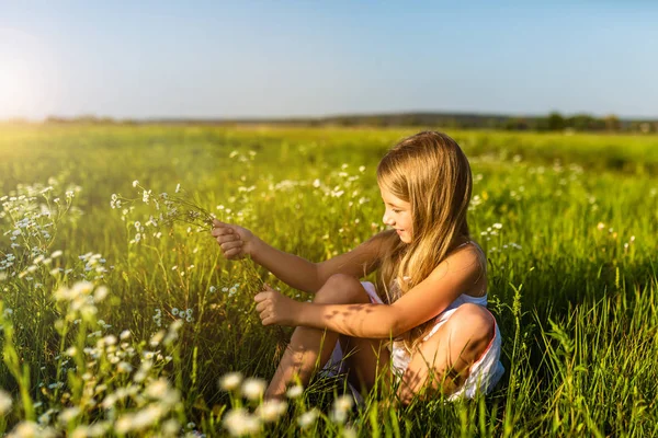 Adorable Little Child Collecting Field Flowers — Stock Photo, Image