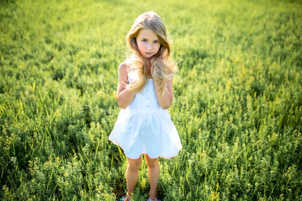 Criança Pequena Bonito Vestido Branco Posando Campo Verde Olhando Para — Fotografia de Stock Grátis