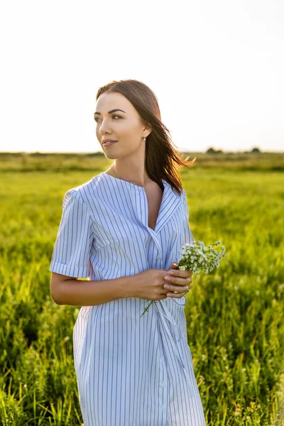 Dress — Stock Photo, Image