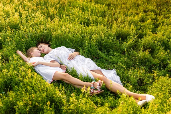 Meadow — Stock Photo, Image