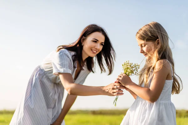 Flowers — Stock Photo, Image