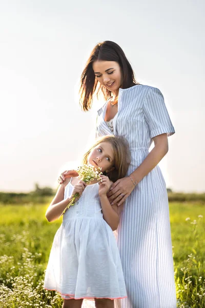 Blüten — Stockfoto