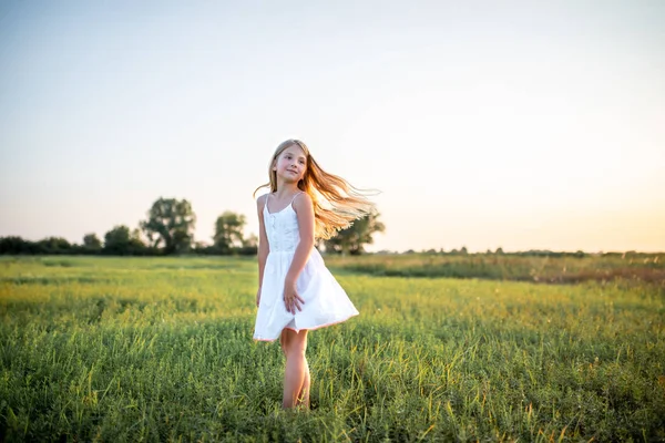 Adorable Little Child White Dress Posing Field Sunset — Stock Photo, Image