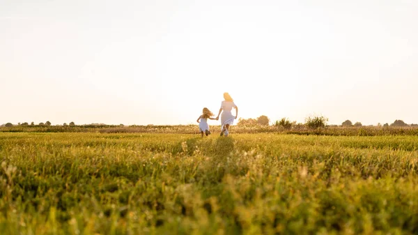 Vista posteriore di madre e figlia in esecuzione in prato verde con tramonto sullo sfondo — Foto stock