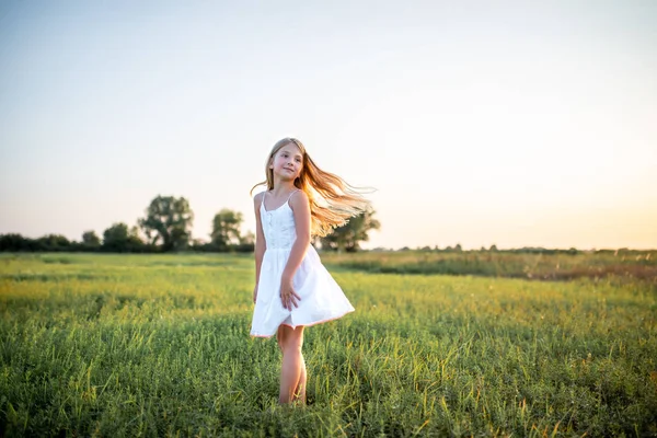 Adorable little child in white dress posing on field on sunset — Stock Photo