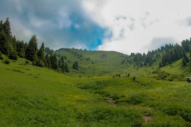 Güneşli bir günde Kok-Zhailau, Kazakistan
