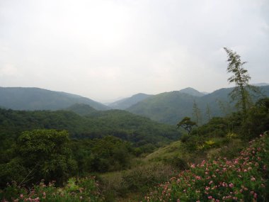 Çiçek Bahçesi ve en iyi açı vadiden bir tepe yan görünüm