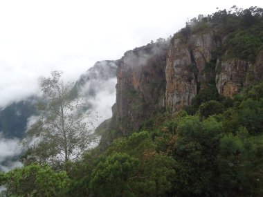 Büyüleyici Kodaikanal ayağı kayalar bakış