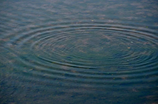 Rippel Reflektion Över Blått Rent Vatten — Stockfoto