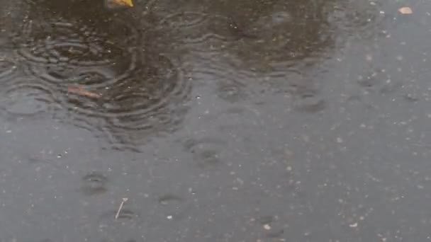 雨 水たまりストック動画 ロイヤリティフリー雨 水たまり動画 Depositphotos 雨 水たまりストック動画 ロイヤリティフリー雨 水たまり動画 Depositphotos