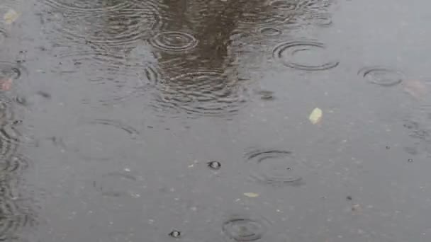 雨 水たまりストック動画 ロイヤリティフリー雨 水たまり動画 Depositphotos