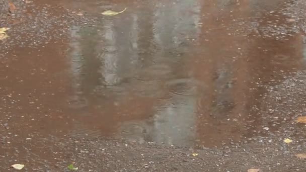 雨 水たまりストック動画 ロイヤリティフリー雨 水たまり動画 Depositphotos 雨 水たまりストック動画 ロイヤリティフリー雨 水たまり動画 Depositphotos