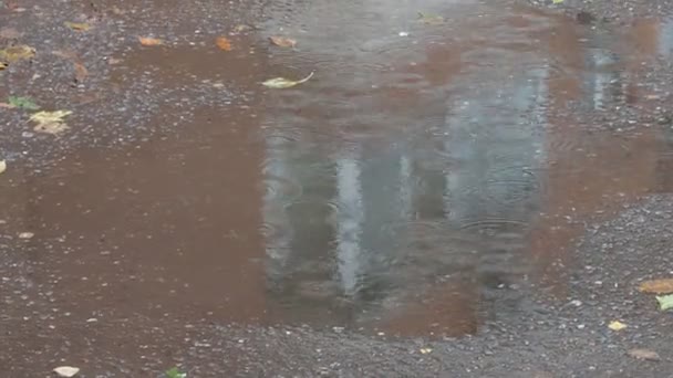 雨 水たまりストック動画 ロイヤリティフリー雨 水たまり動画 Depositphotos 雨 水たまりストック動画 ロイヤリティフリー雨 水たまり動画 Depositphotos