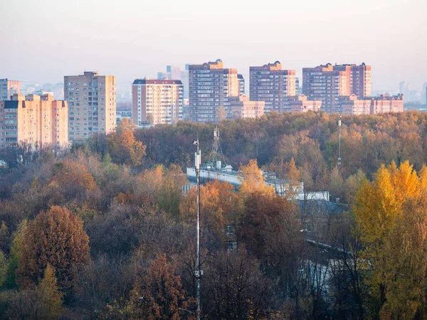 above view of city street and urban garden in early morning in autumn