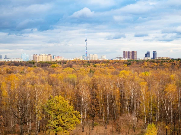 autumn forest and city under blue snow clouds in october