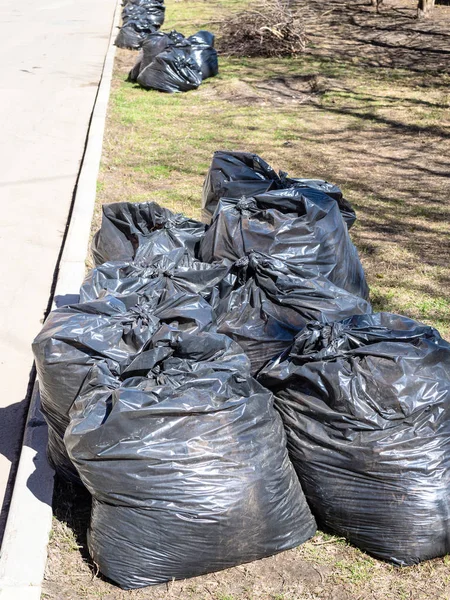 trash bags filled with litter on roadside lawn
