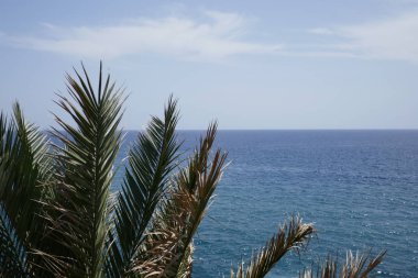 Palm önünde Atlantik Okyanusu güzel Madeira adaya üzerinde Portekiz bırakır.