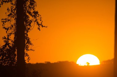 güneş bazı ağaçların arkasında yükselen