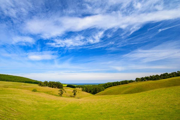 Gras Heuvel Met Blauwe Hemel Weergave Weg Van Great Ocean — Stockfoto