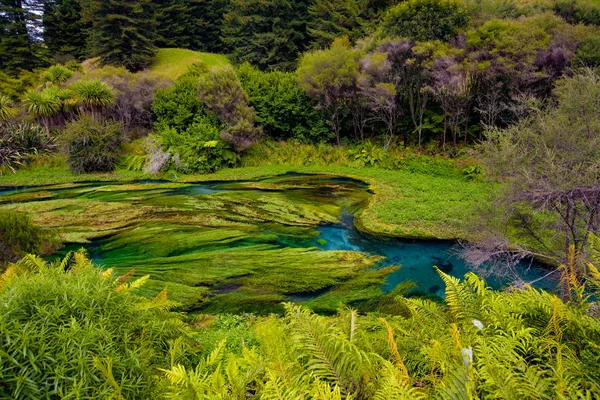 Mavi Bahar Yeni Zelanda Waihou Geçit Hamilton Waikato Saf Ile — Stok fotoğraf