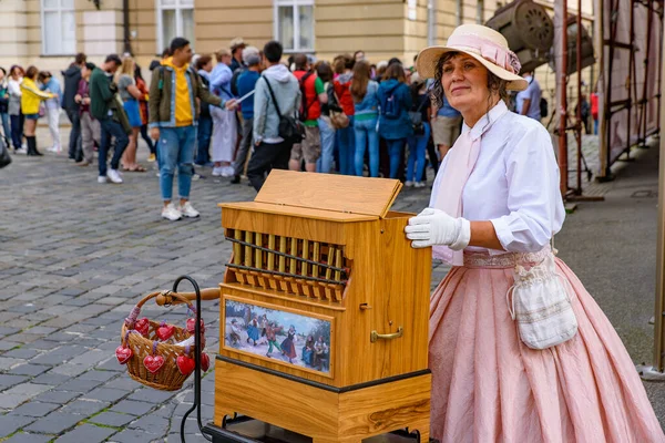 Performer Playing Music Street Zagreb Croatia — Stock Photo, Image