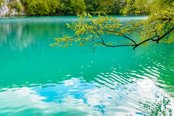 Nationalpark Plitvicer Seen Plitvicka Jezera Mit Türkisfarbenem See Kroatien — Stockfoto