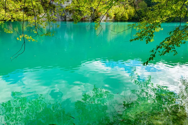 プリトヴィツェ湖国立公園 プリトヴィツァ ジェゼラ ターコイズブルーの湖 クロアチア — ストック写真