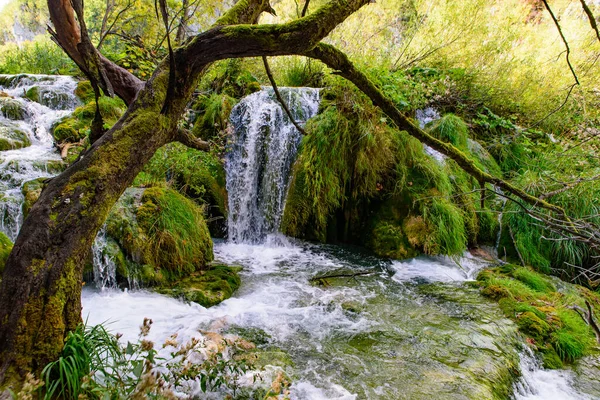 プリトヴィツェのカスケード 滝国立公園 Plitvica Jezera クロアチアの国立公園 — ストック写真