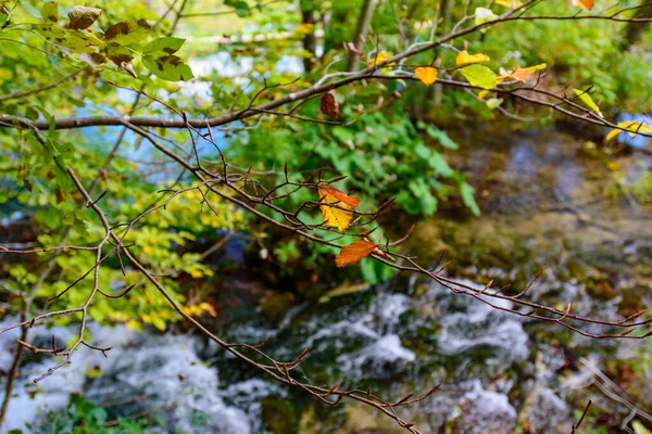 Cascades Watervallen Nationaal Park Plitvice Meren Plitvicka Jezera Een Nationaal — Stockfoto