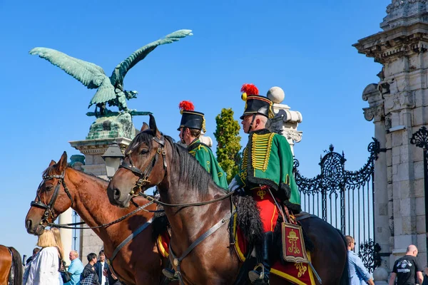 Guardia Real Húngara Castillo Budapest Hungría — Foto de Stock