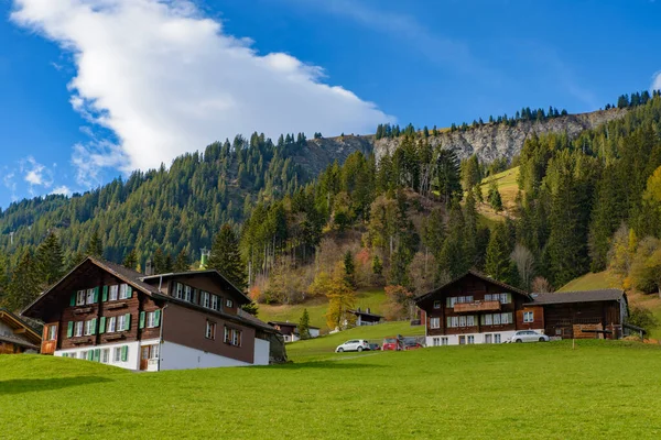 Traditional Swiss Style Houses Green Hills Forest Alps Area Switzerland — ストック写真