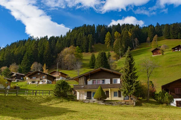 Традиционные Дома Швейцарском Стиле Зеленых Холмах Лесом Альпах Швейцарии Европе — стоковое фото