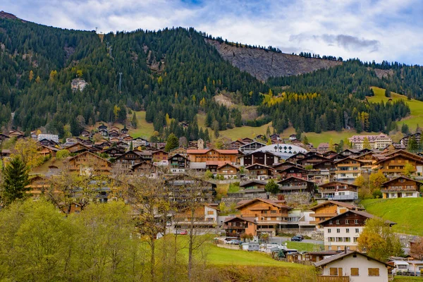 Traditional Swiss Style Houses Green Hills Forest Alps Area Switzerland — ストック写真